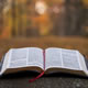 Mateo 28:19-20
